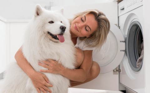 anti allergy washing machine.
