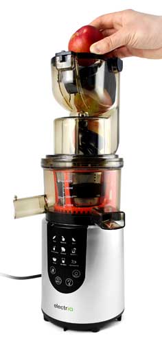 Whole Fruit Cold Press Masticating Juicer