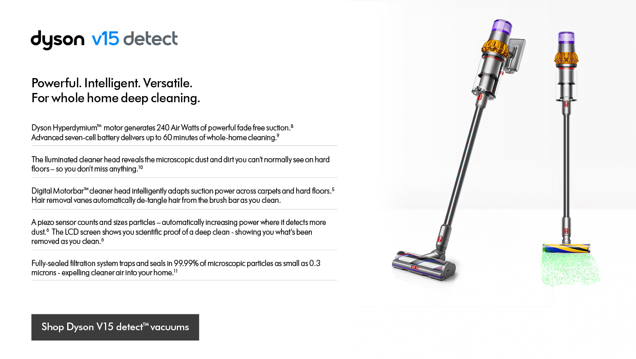 Dyson V15 detect