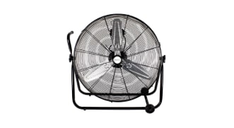 Fans