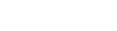 electriQ