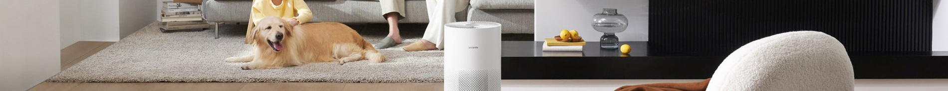What do air purifiers do