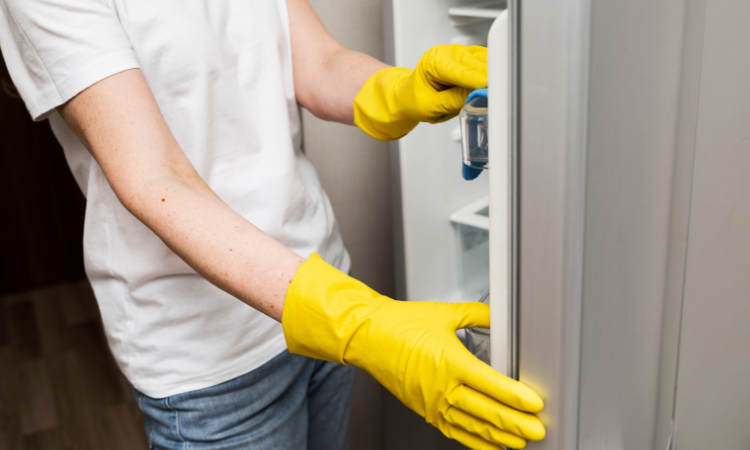 How to clean a fridge