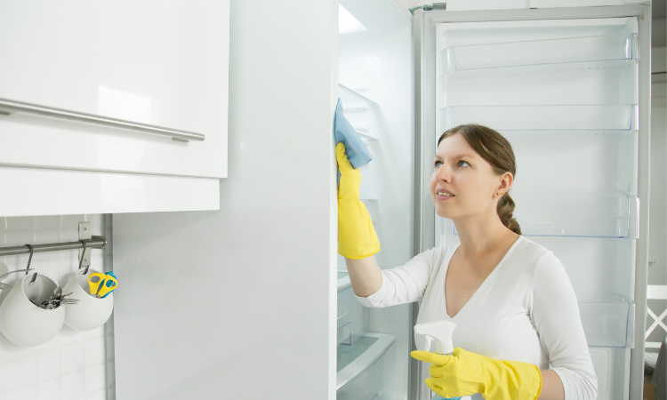 Freezer defrosting FAQs