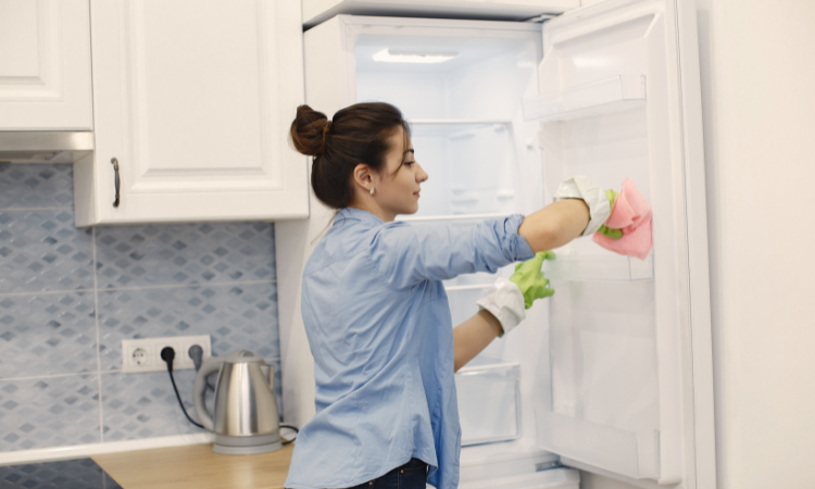Fridge maintenance tips