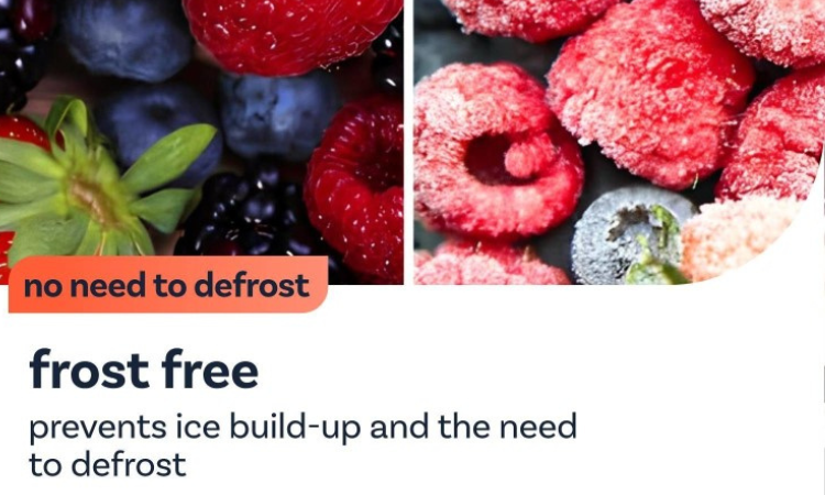 Frost-free freezer technology