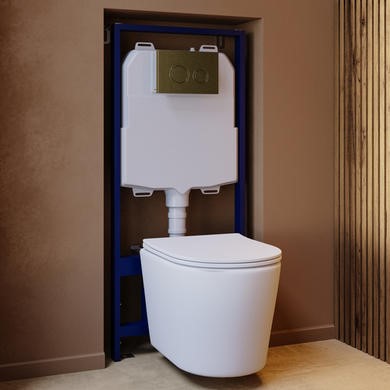 Matt White Wall Hung Rimless Toilet with Soft Close Seat