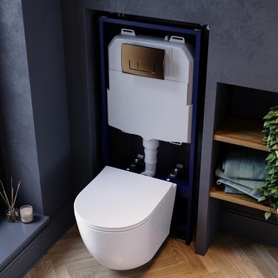 Wall Hung Rimless Toilet with Soft Close Seat