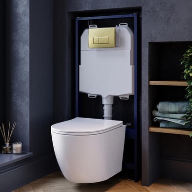 Wall Hung Rimless Toilet with Soft Close Seat