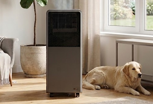Anti-dust filter.