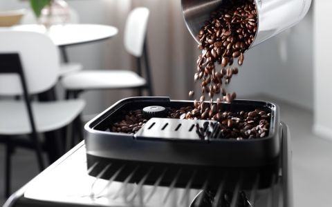 The Freshest Coffee