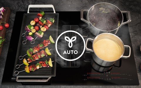 Automatic Extractor.