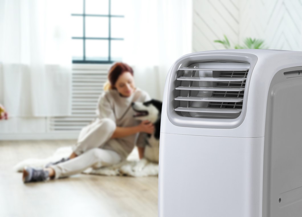AirFlex 14000 BTU 4kW Portable Air Conditioner with Heat Pump for rooms ...