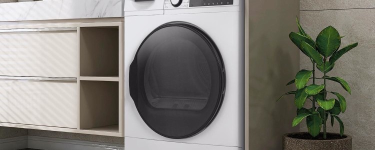 heat pump tumble dryer