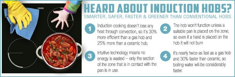 Induction Hobs