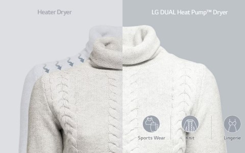 DUAL Inverter.