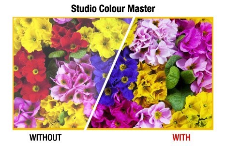 studio_colour_master