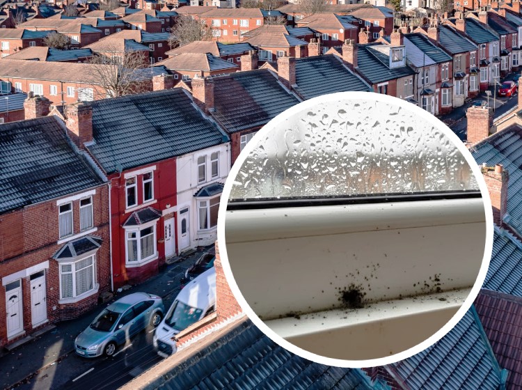 Dehumidifier working in a cold UK home